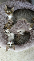 /album/221/cfa36d68-83e1-4bff-a514-615d3f4bdc24-kopie-jpeg/